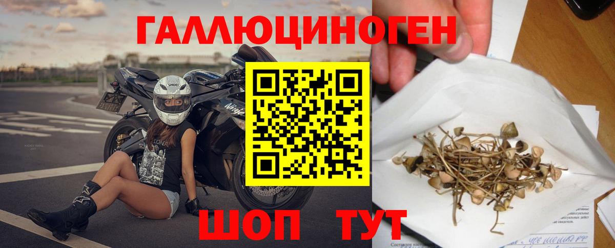 Балашов  Псилоцибиновые грибы GOLDEN TEACHER  Вход с VPN 